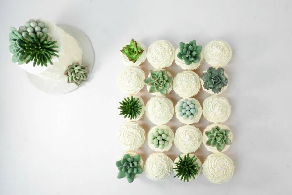 Succulent Cupcakes & Cake