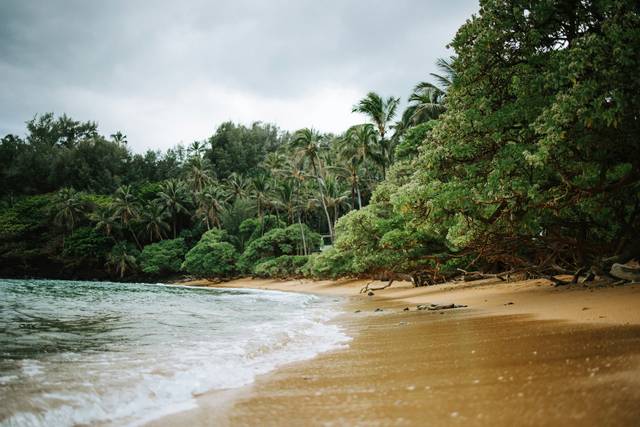 Labelle vie travel