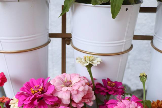 Zinnias in our flower stand