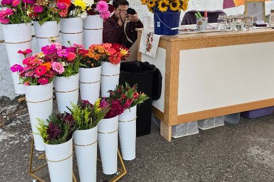 Overall stand setup