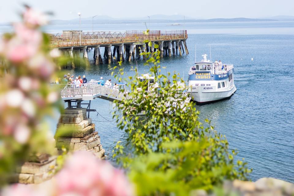 Acadian Boat Tours