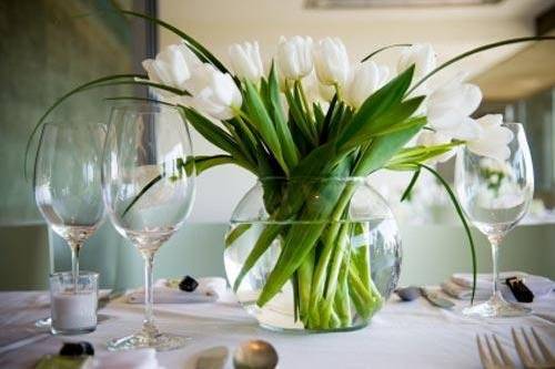 Events by Eladia