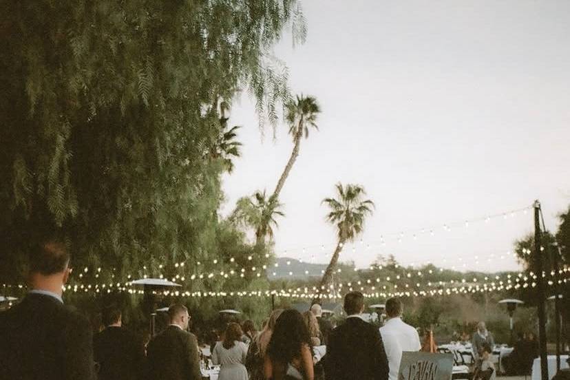 Reception Time
