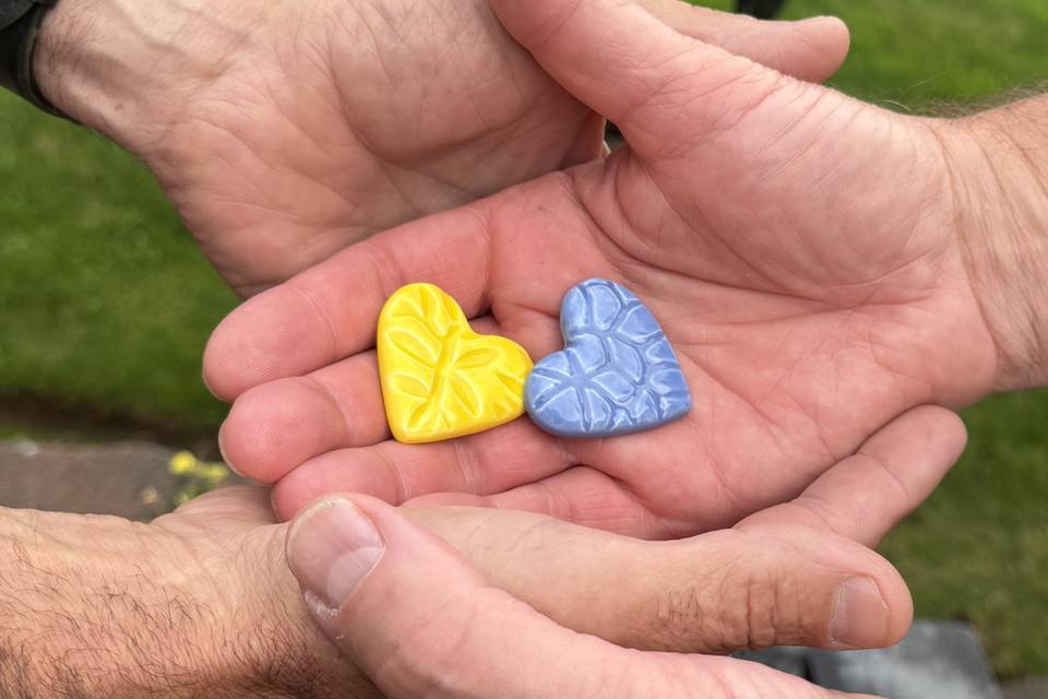 Yellow and Cornflower