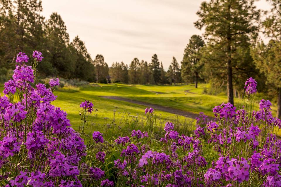 Arnold Palmer Golf Course