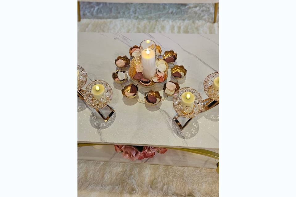 Indian Wedding at Gordon Sprin