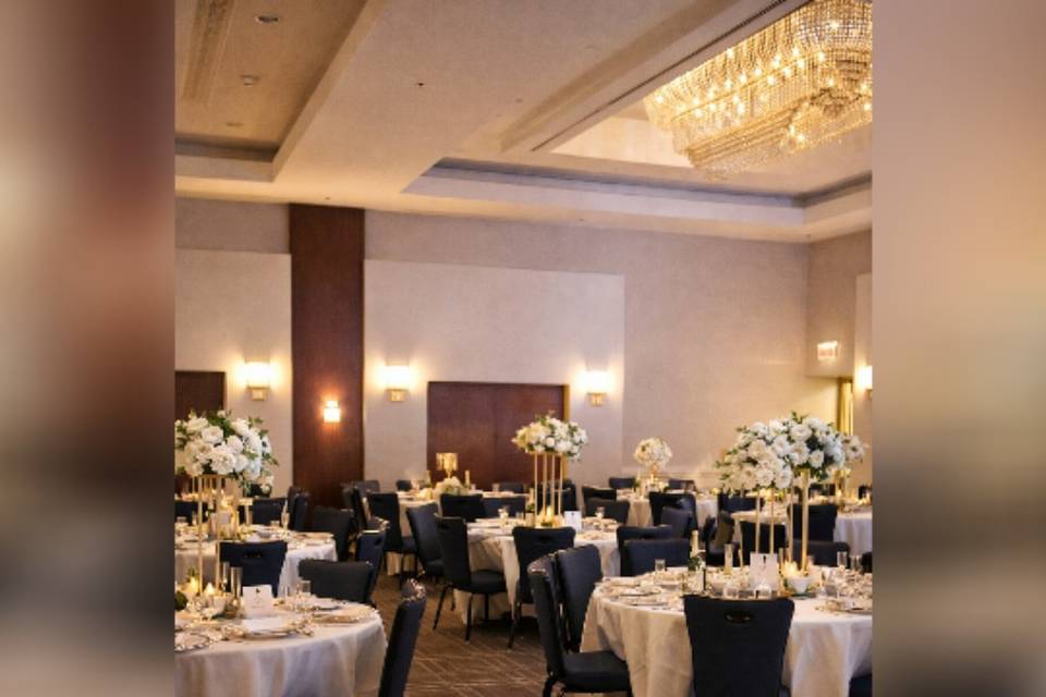 Reception at Hilton Fairfax