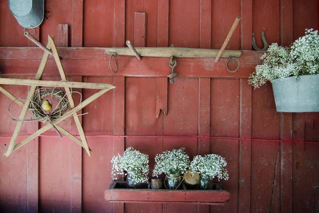 Debbi Gerdt . Photography