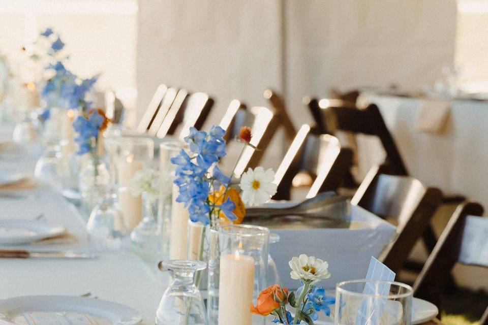 Table set up