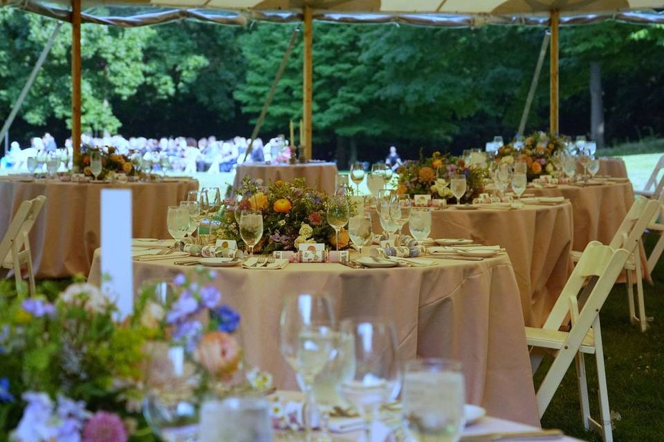 Tented Estate Wedding