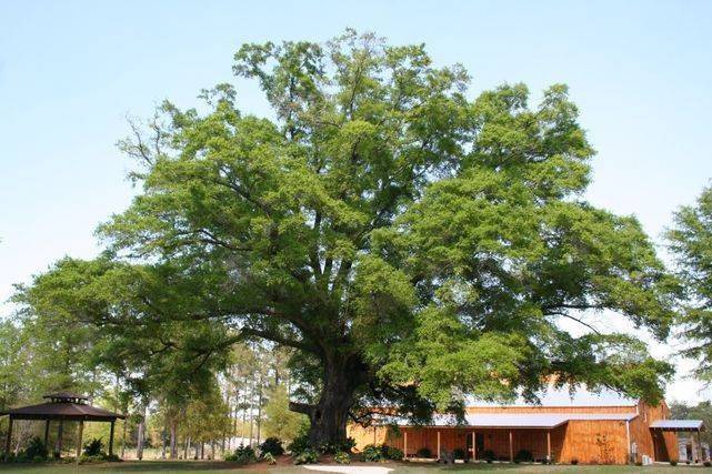 Jordan's Activity Barn