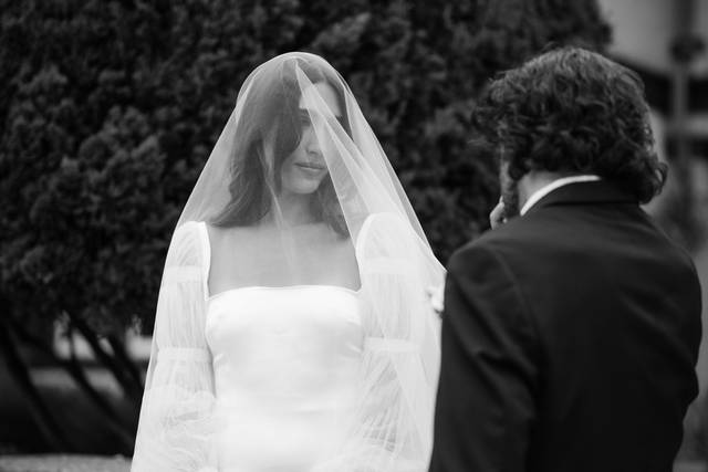 Veil