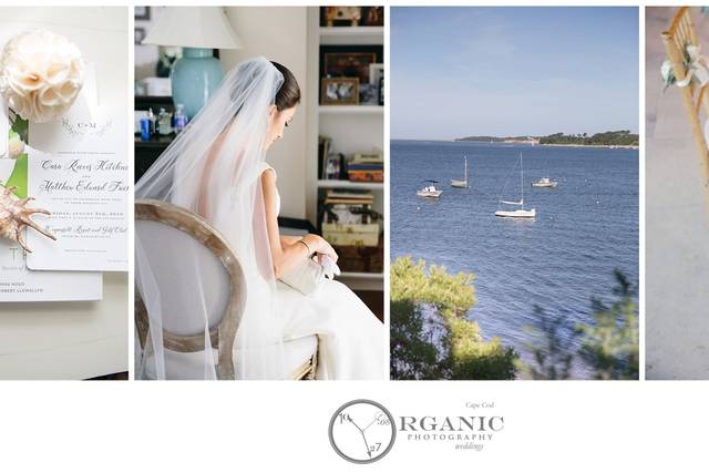 Organic Photography Cape Cod