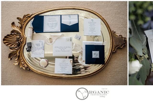Organic Photography Cape Cod