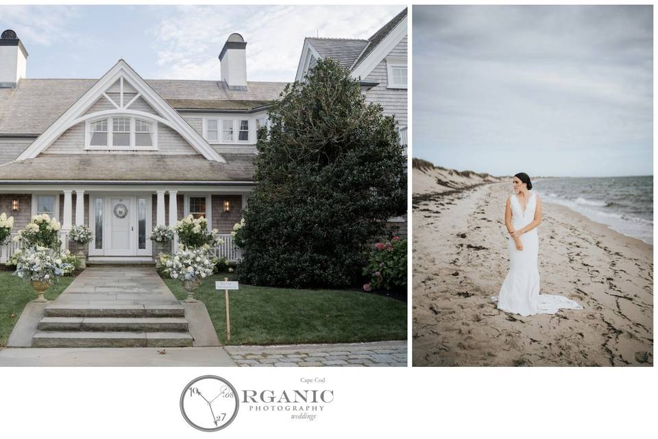 Organic Photography Cape Cod