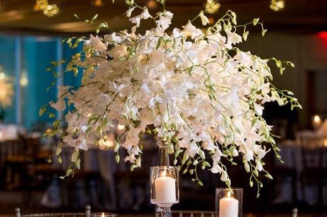 Stunning centerpiece