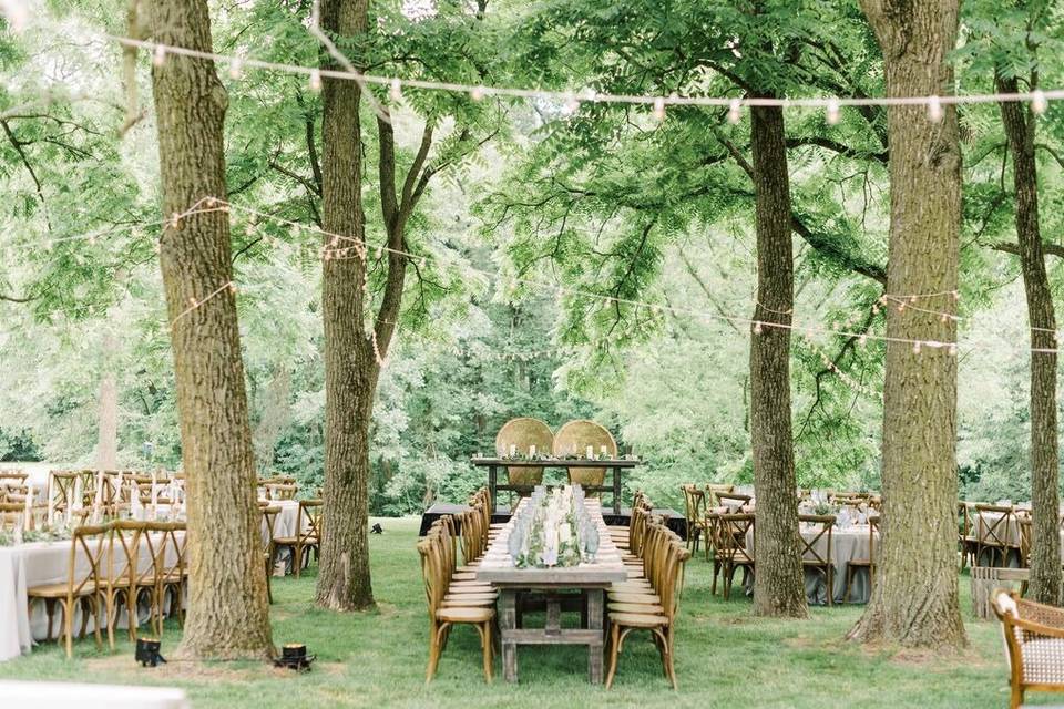 Woodland reception