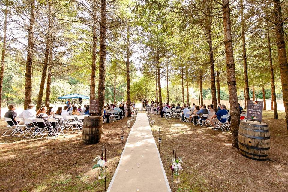 Wedding in the Woods