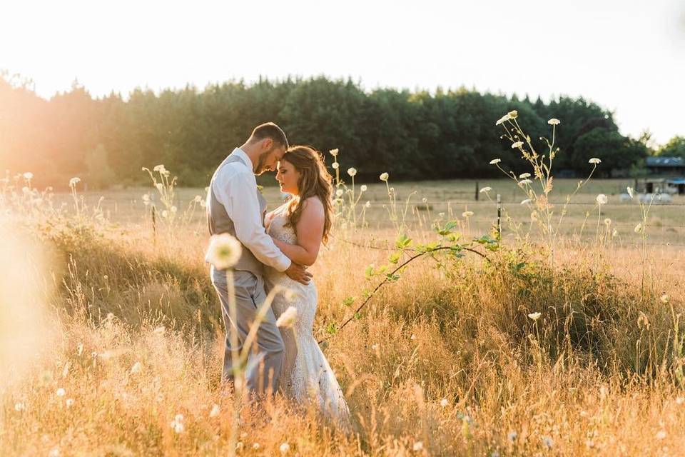 Sunset in the Wheat Field