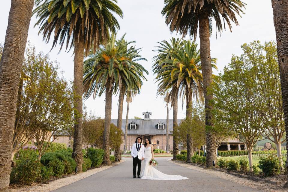 Palm Driveway