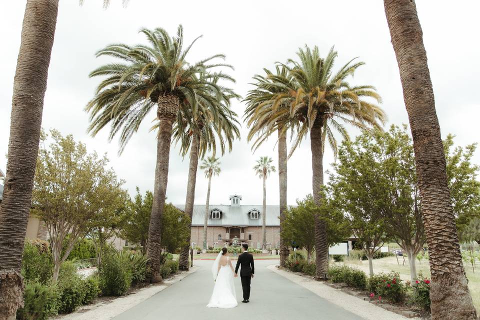 Palm Driveway