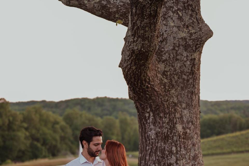 Anna & Daher