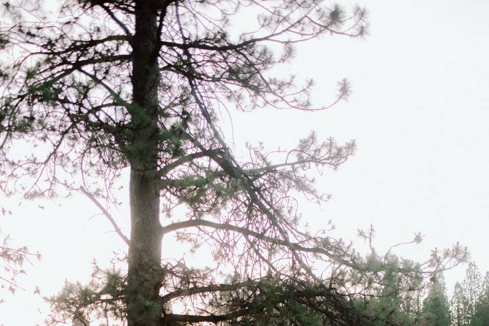 Sierra Ridge
