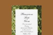 White Hydrangea Wedding Invitation.
Invite friends and family to your wedding with this elegant White Hydrangea Wedding Invitation. Personalize it with the names of the bride and groom and specific details of your wedding. Feel free to change the text, font or paper type to suit the needs of your wedding. Image is a floral photograph of a white hydrangea flower blossom. Perfect for a hydrangea wedding.