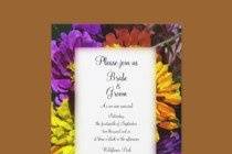 Daffodil and Pearls.
Invite friends and family to your upcoming wedding with this unique Daffodil and Pearls Wedding Invitation. Customize it with the personal names of the bride and groom and specific wedding information. Feel free to change the text, font or paper type to suit the needs of your wedding. Image is a floral photograph of a white daffodil blossom and pearls with a digital border added.