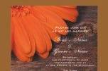 Rustic Orange Daisy Country Wedding Invitation
Invite your friends and family to your upcoming rural nuptials with the Rustic Orange Daisy Country Wedding Invitation. Customize it with the personal names of the bride and groom and specific marriage ceremony information. Feel free to change the text, font or paper type to suit the needs of your wedding. It is currently shown here on linen paper. This custom country wedding invite features a close up photograph of orange gerber daisy flower blossom petals and weathered barn wood. Perfect for a rural country farm, rustic barn or western wedding theme.