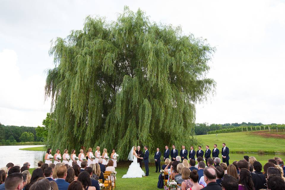 Barn and Pavilion Wedding