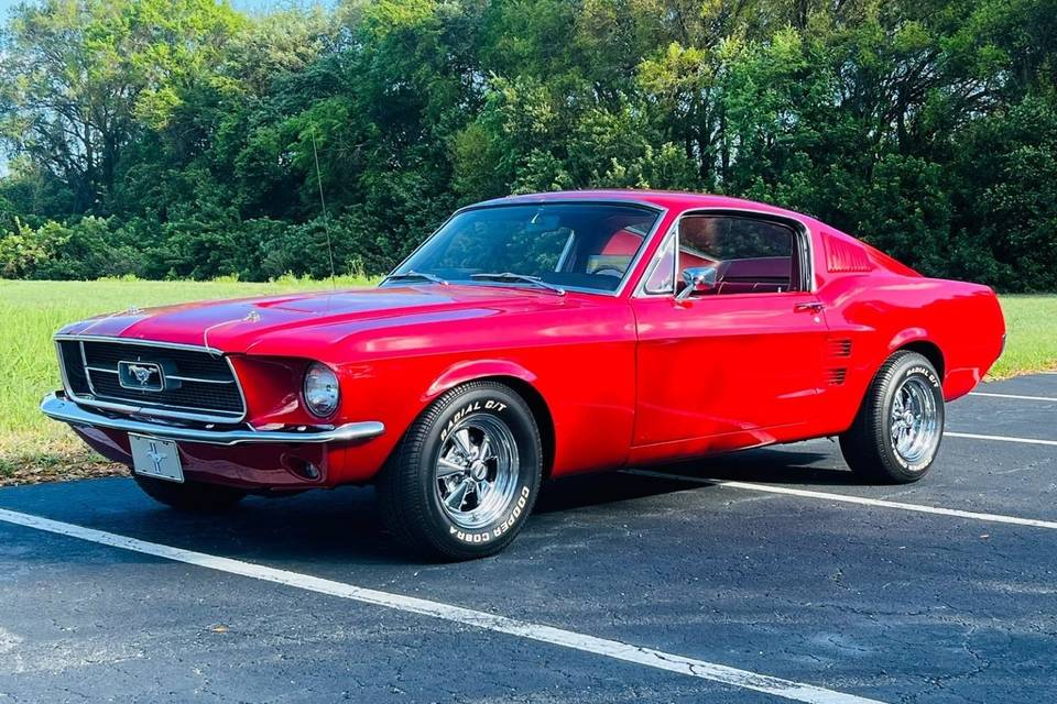 Mustang