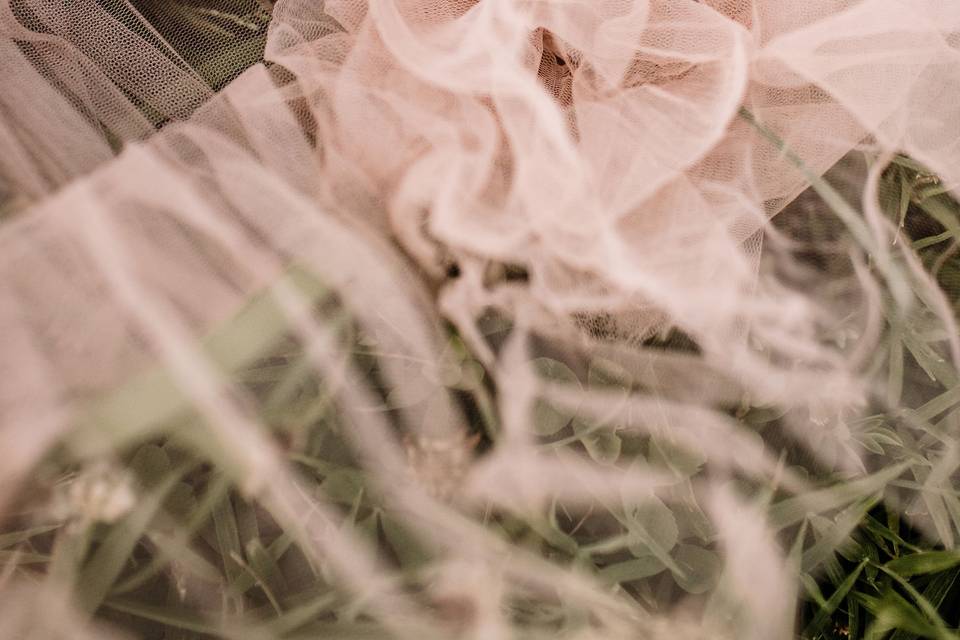 Engagement Session