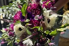 Tangled Lilac LLC