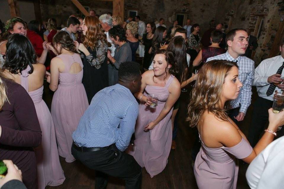 Bridesmaid and guests having fun