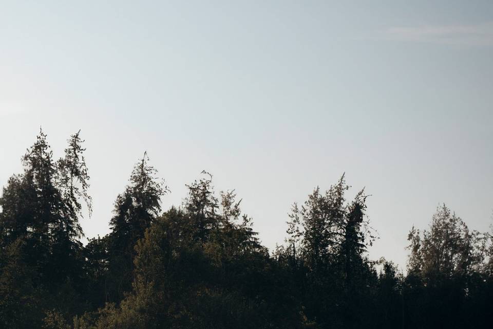 Western Style Elopement