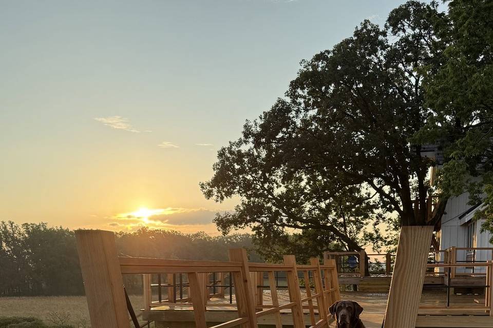 Tree House Heaven