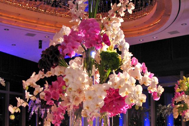 Tantawan Bloom Inc