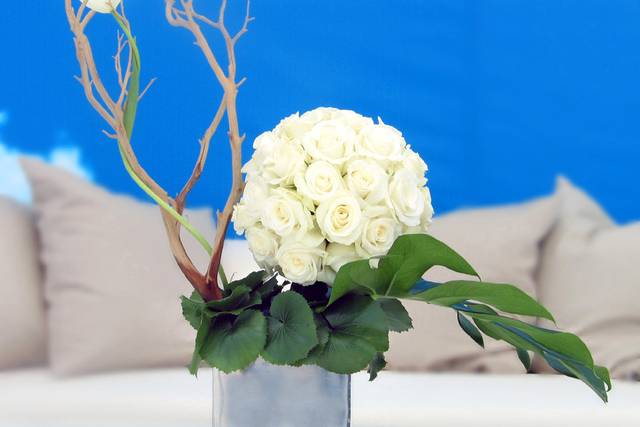 Tantawan Bloom Inc