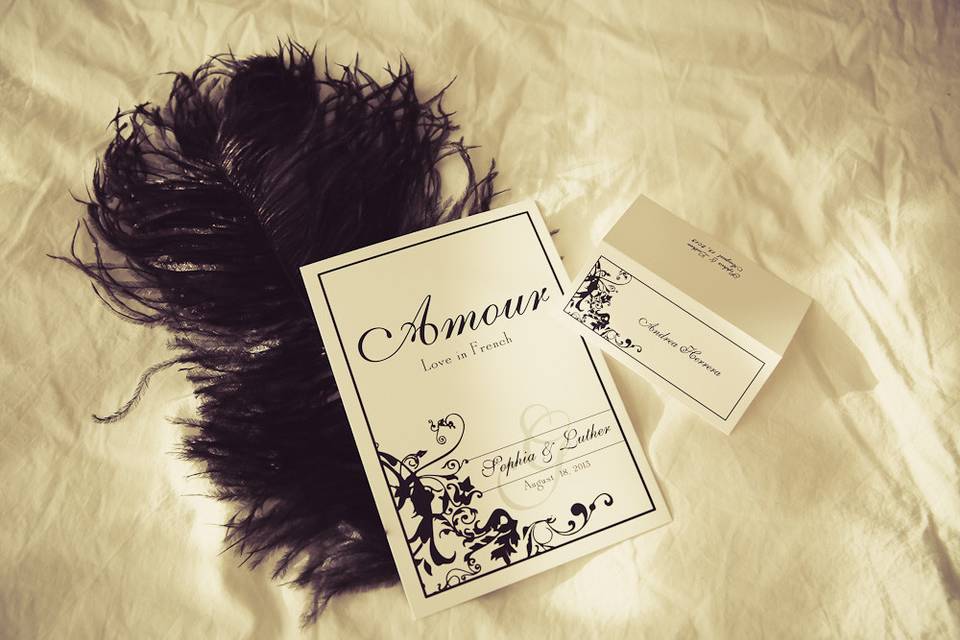Matching Place Card and Table Card set anf one of our favorite designs. Madison is printed in Black ink on our Classic White paper. Fonts shown are Silk Script and Solid Antique Roman in Black ink. Find them here: https://placecards.com/product/place-cards/madison