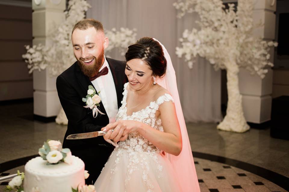Cake Cutting
