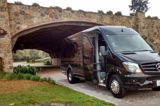 VIP Wedding Sprinter Van