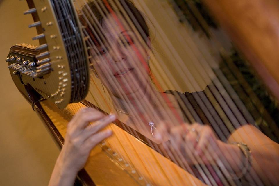 Solo Harpist