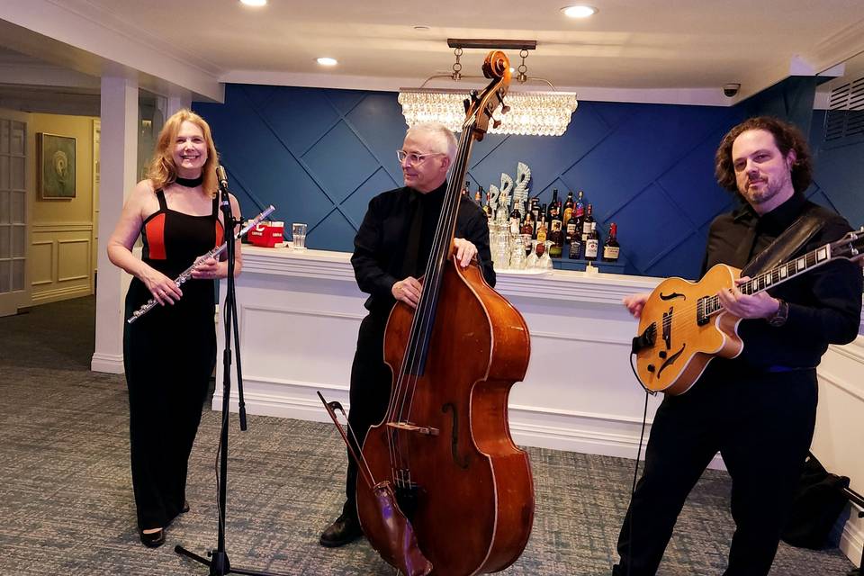 Flute Bass Guitar Jazz Trio