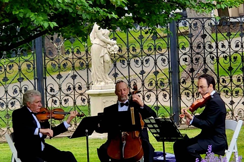 Intermezzo String Trio