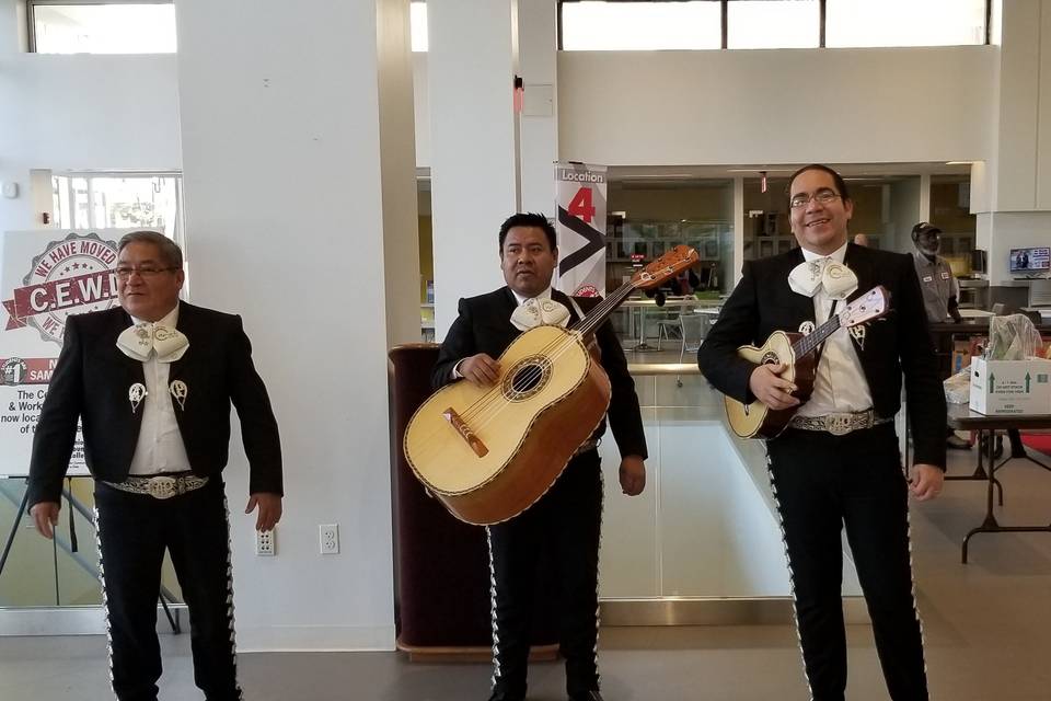 Mariachi Band