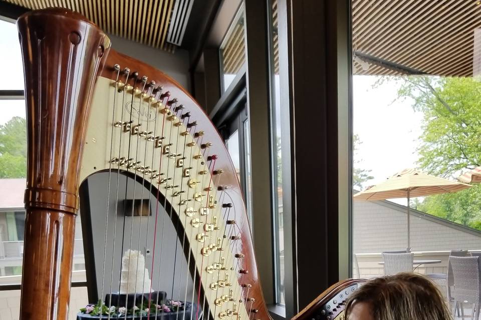 Solo Harpist