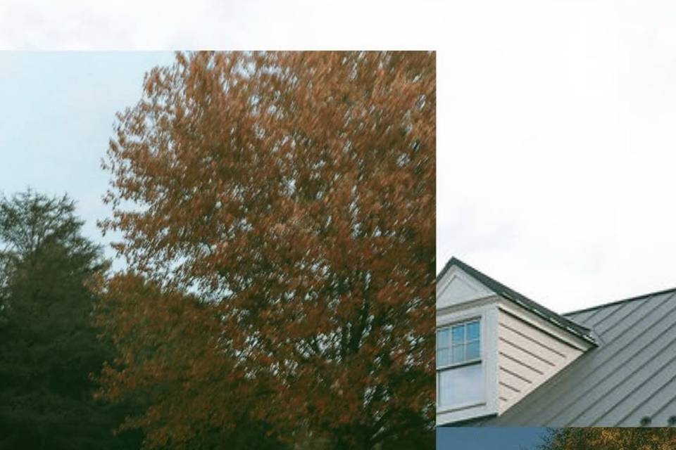 IMG_2028.jpeg
