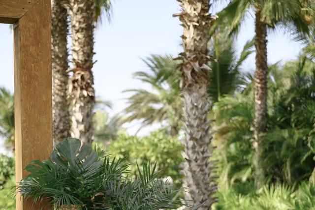 Greenery Ceremony