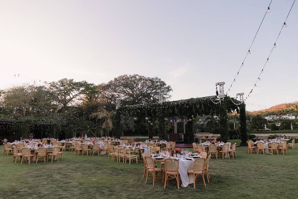 Jungle Reception